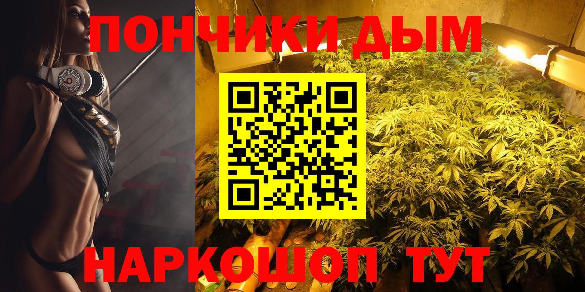 МАРИХУАНА семена  Вход с VPN  Северск  Шишки марихуана Amnesia  Бошки марихуана Amnesia 